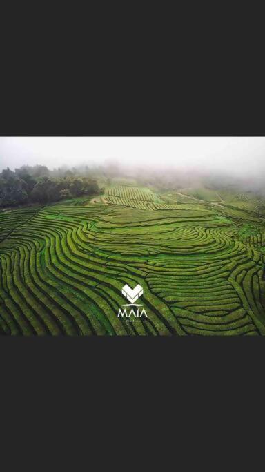 Vila Casa Da Calheta Maia  Exteriér fotografie